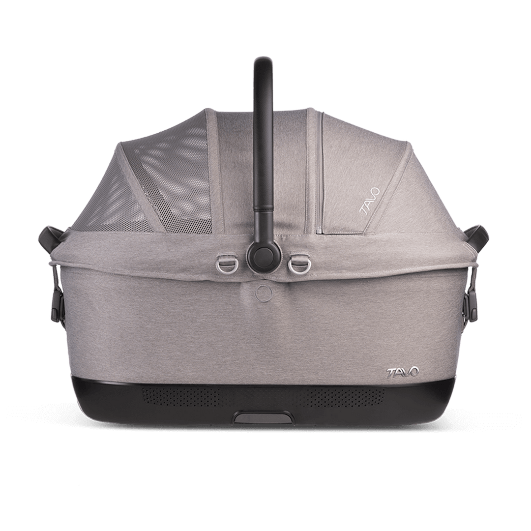 Maeve iso