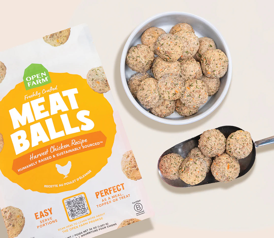Frozen Gently Cooked Meatballs - Dog Food, Topper, Treat