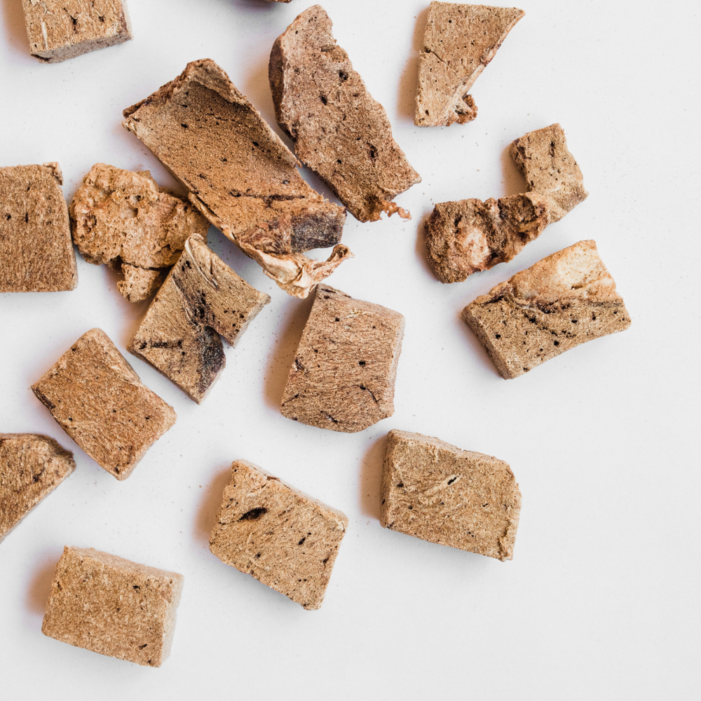 Freeze-Dried Trainers