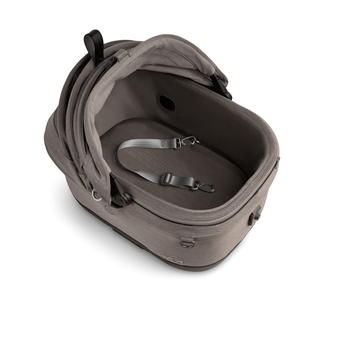 Maeve iso Wind