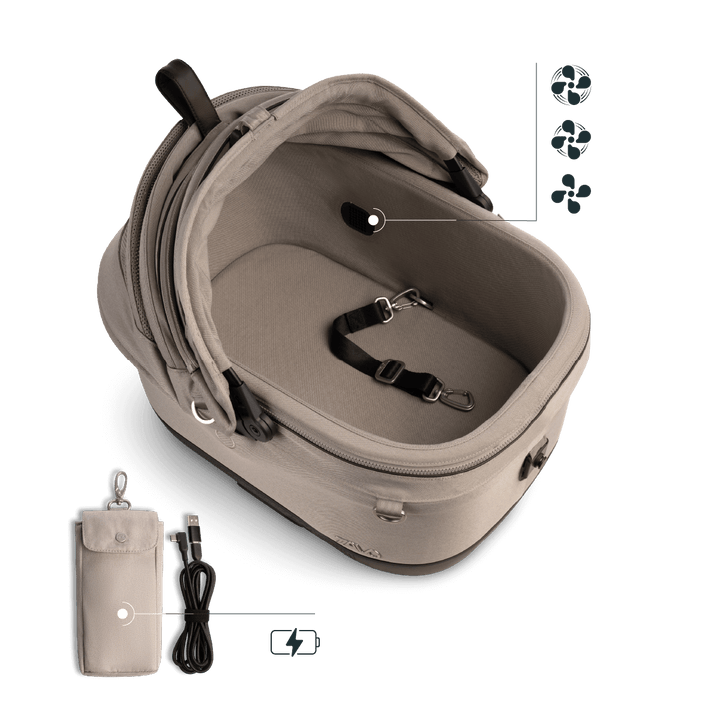 Maeve iso Wind + Roscoe Trek