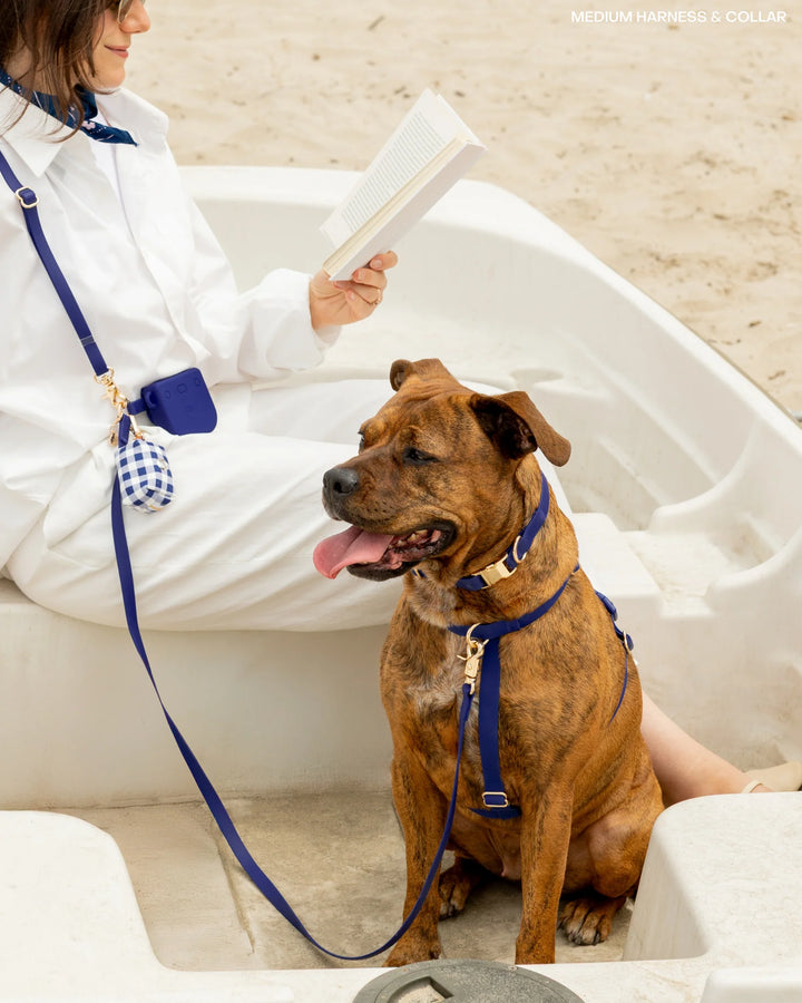 Cloud Waterproof Collar