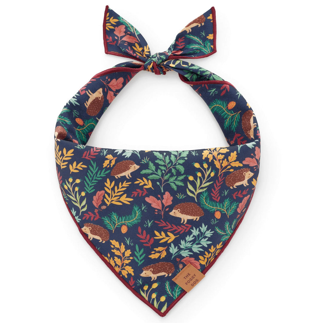The Foggy Dog Bandana