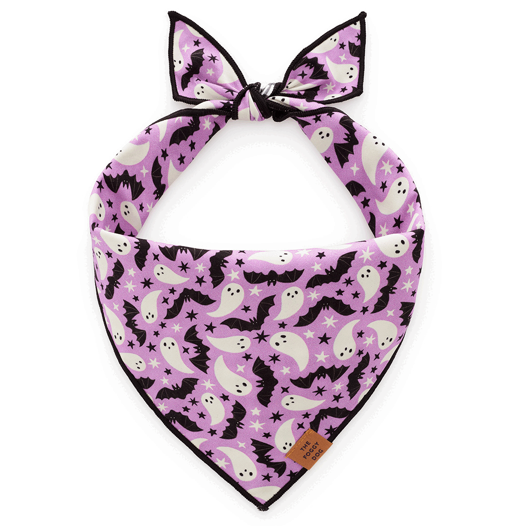 The Foggy Dog Bandana