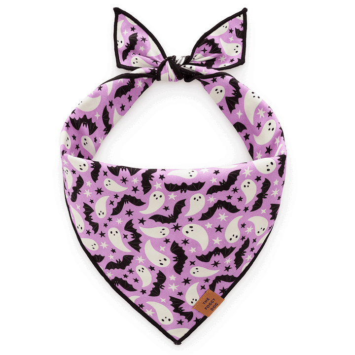 The Foggy Dog Bandana