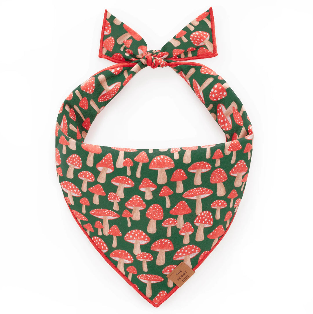 The Foggy Dog Bandana
