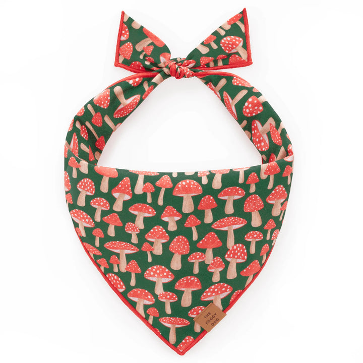 The Foggy Dog Bandana