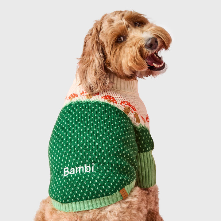 Toadstool Dog Sweater