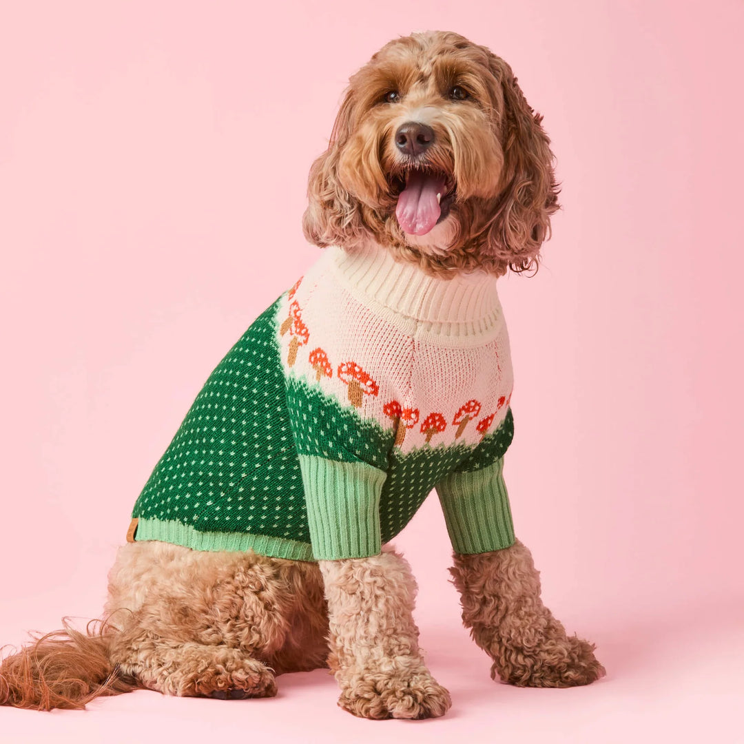 Toadstool Dog Sweater