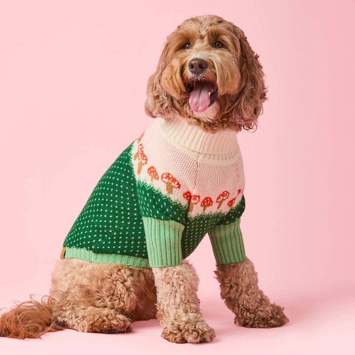 Toadstool Dog Sweater