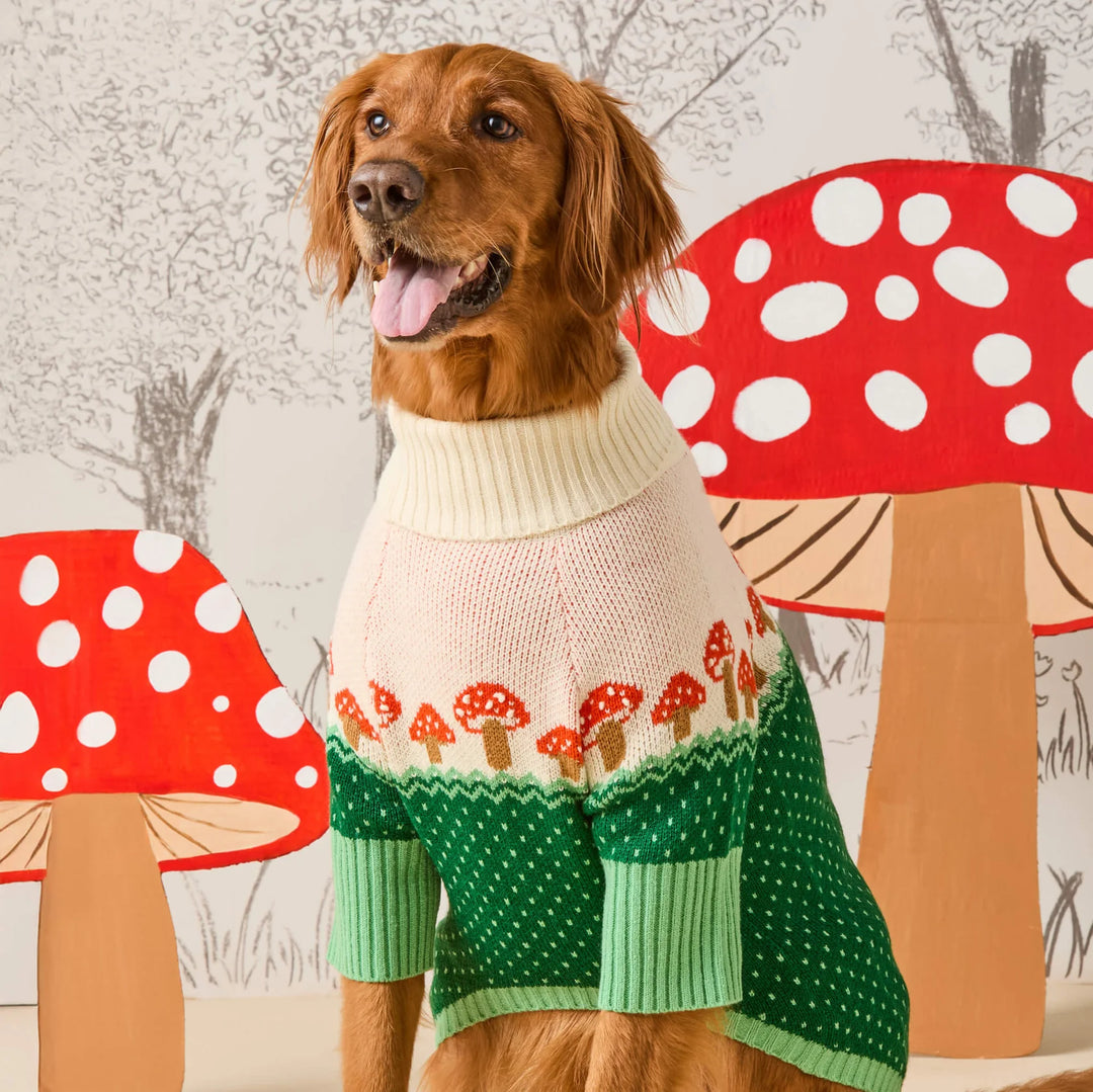 Toadstool Dog Sweater