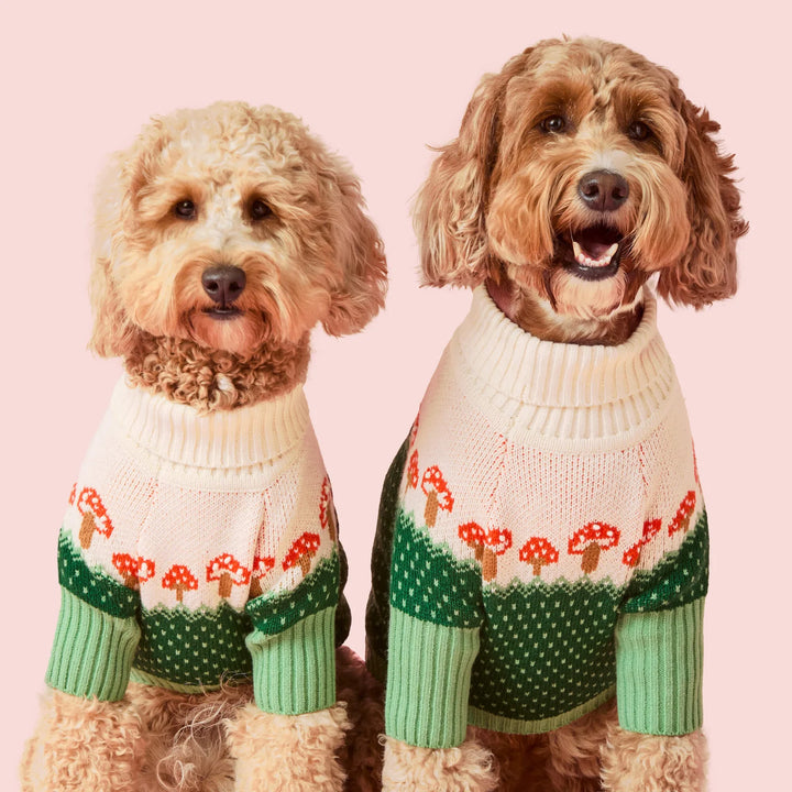 Toadstool Dog Sweater