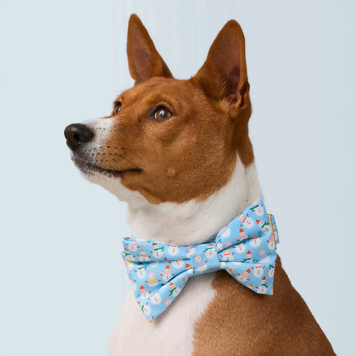 Frosty Friends Dog Bow Tie