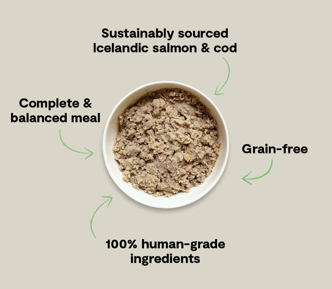 Icelandic Salmon & Cod With Sweet Potato Wed Food For Dogs