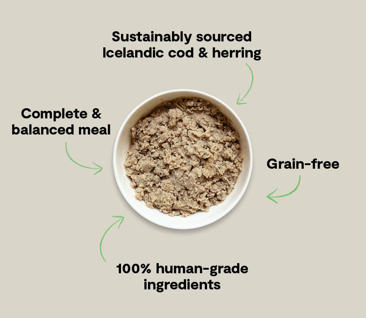 Icelandic Cod & Herring Wet Food for Dogs
