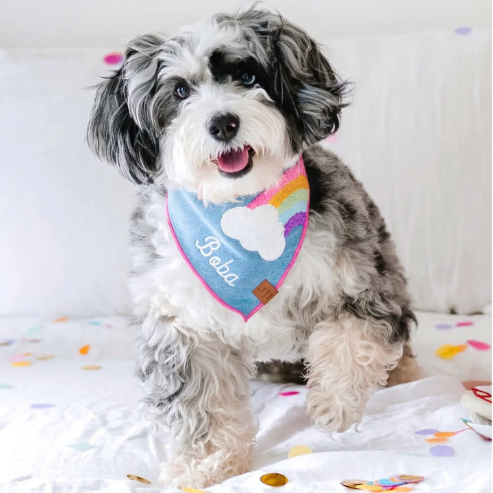 Rainbow Appliqué Bandana