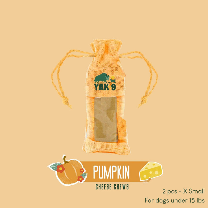 Yak9 - Pumpkin Cheese Chew - X-Small