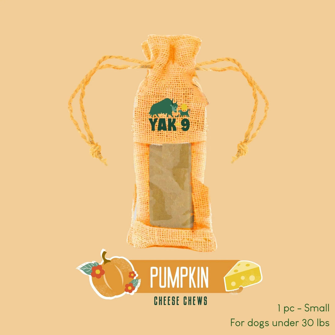 Yak9 - Pumpkin Cheese Chew - Small