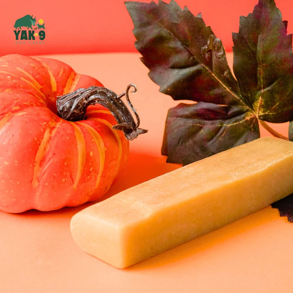 Yak9 - Pumpkin Cheese Chew - Small