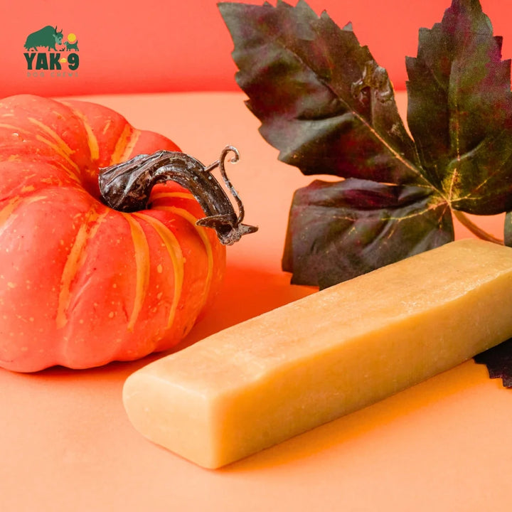 Yak9 - Pumpkin Cheese Chew - Small