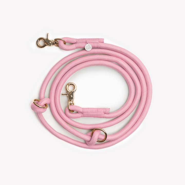 ‘Pink’ - Hands Free Braided Leash