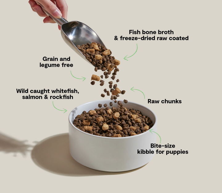 Open Farm RawMix for Dogs - Puppy Recipe