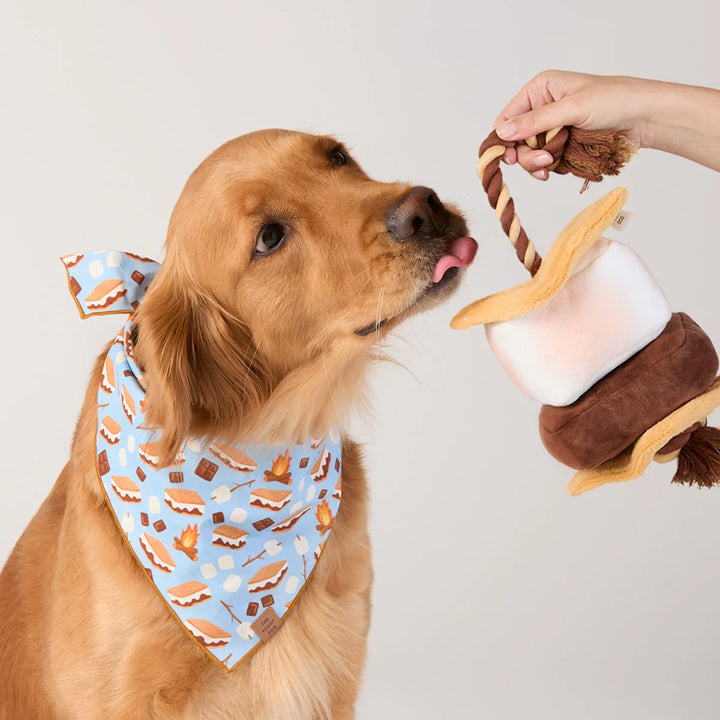 S’mores Interactive Snuffle Toy