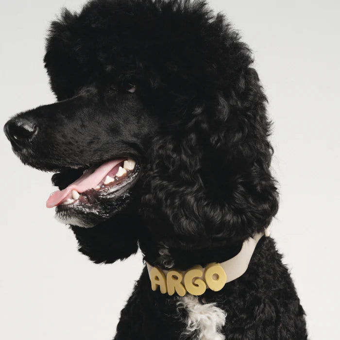 Silicone Dog Charms | Letters & Symbols for Personalized Dog Collars and Leashes