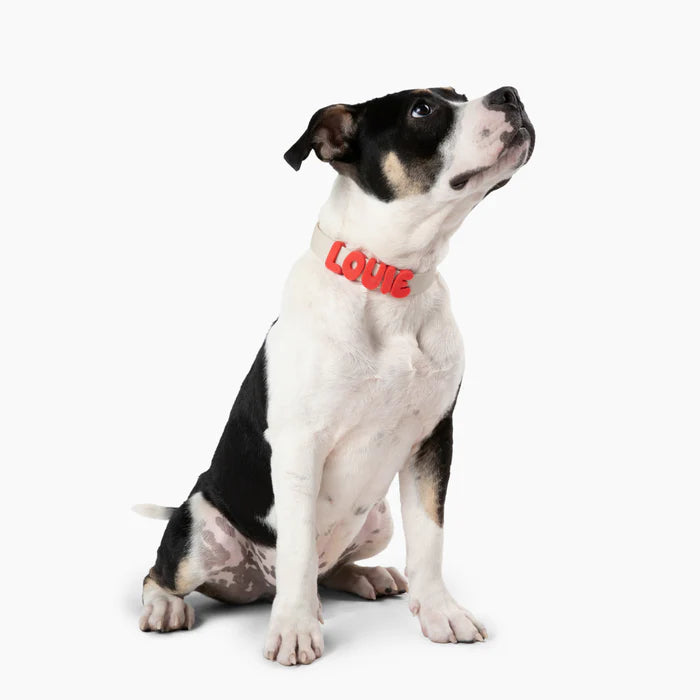 Silicone Dog Charms | Letters & Symbols for Personalized Dog Collars and Leashes