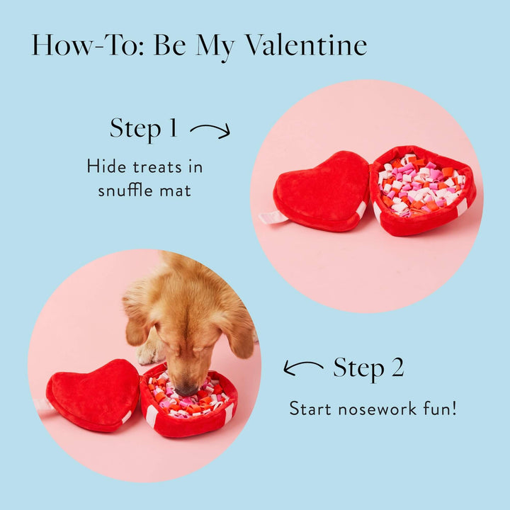 Be My Valentine Interactive Snuffle Dog Toy