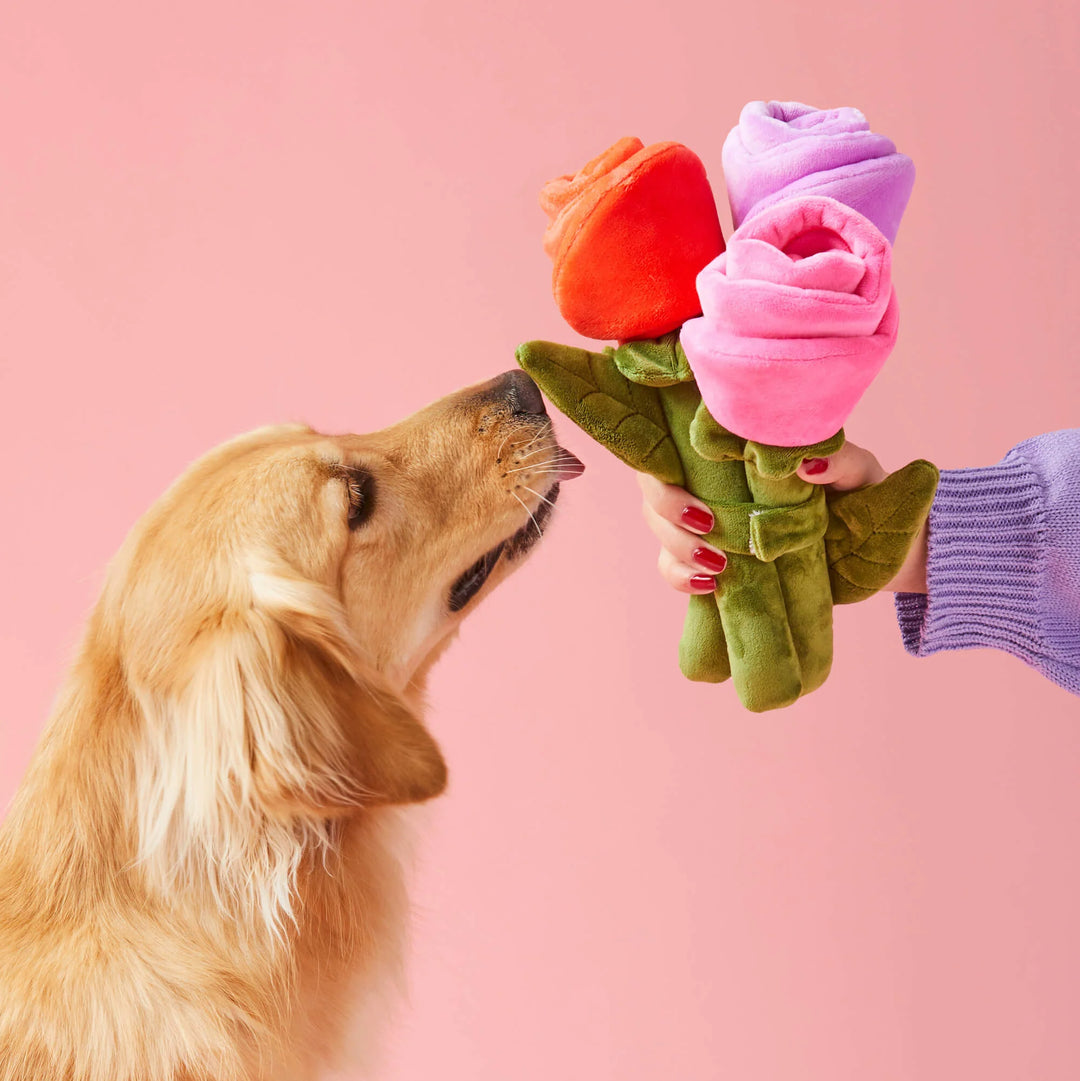 Bouquet of Roses Valentine's Day Interactive Snuffle Dog Toy