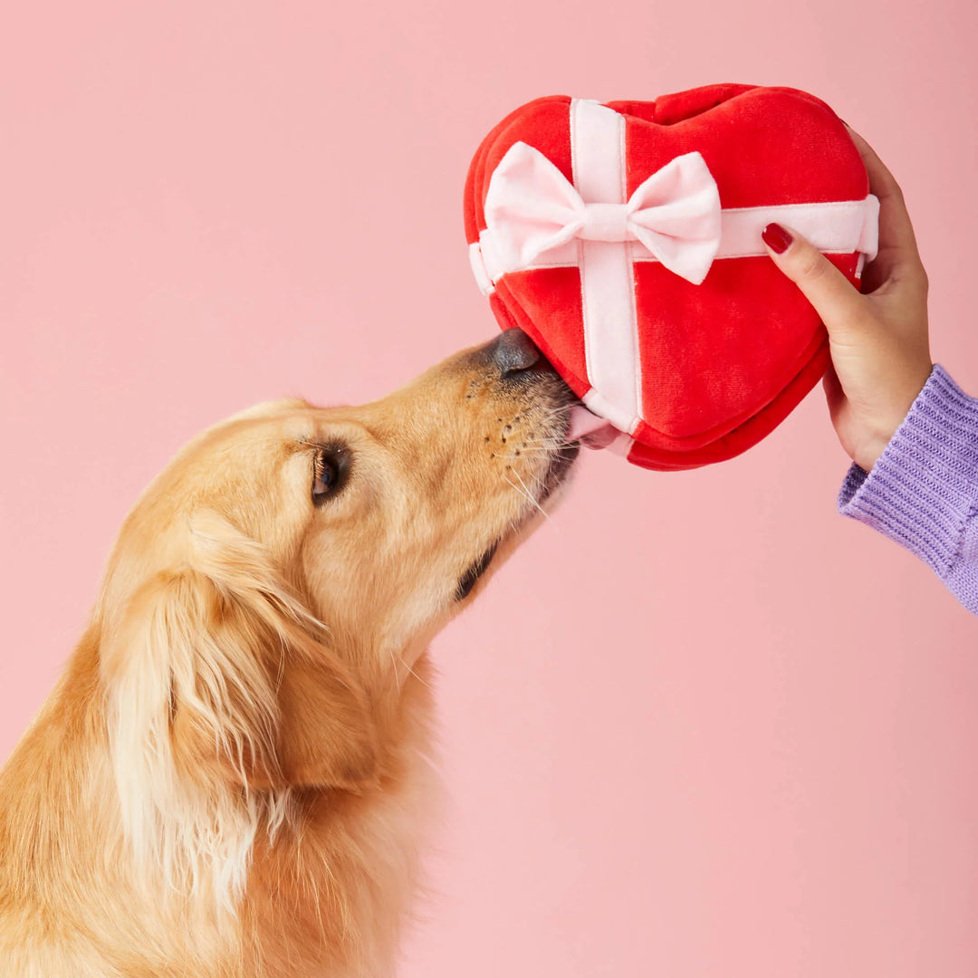 Be My Valentine Interactive Snuffle Dog Toy