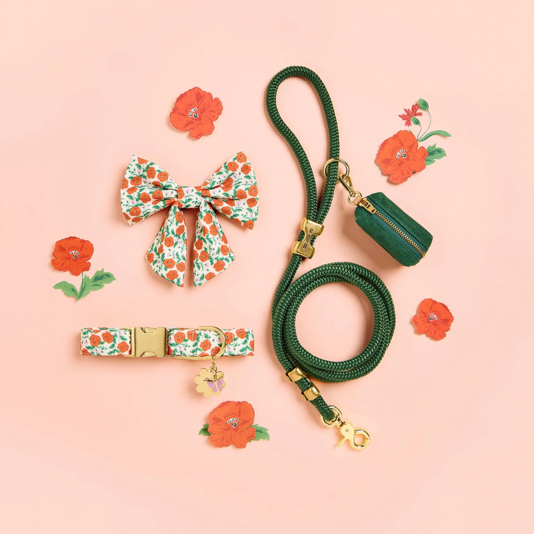 Golden Poppies Lady Dog Bow