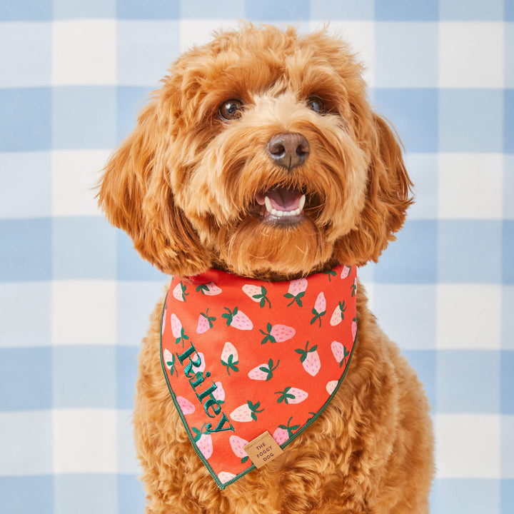 Berry Sweet Valentine's Day Dog Bandana