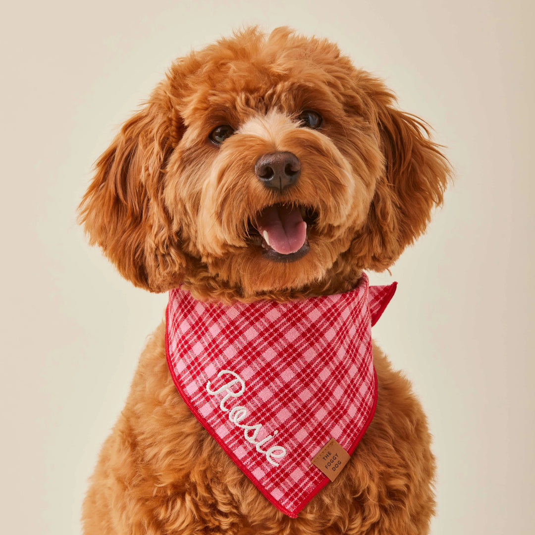 HTH x TFD Katherine Plaid Valentine Dog Bandana