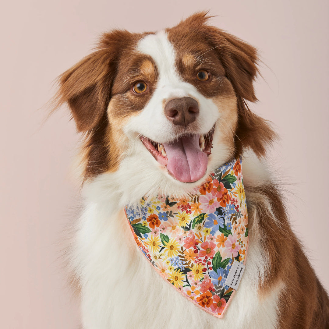 Rifle Paper Co. x The Foggy Dog Marguerite Bandana