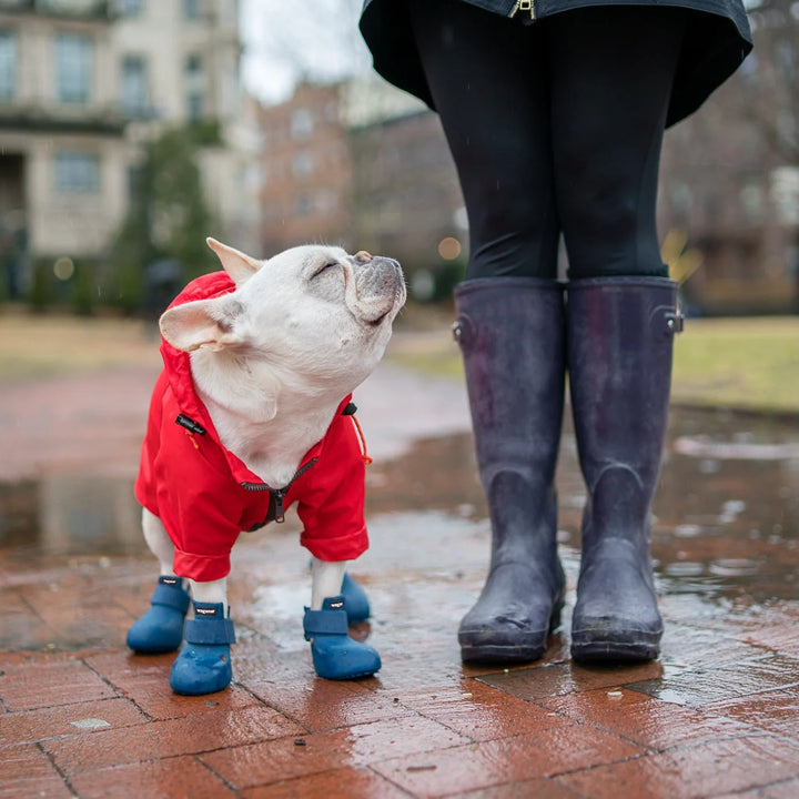 Wagwellies - Dog Shoes