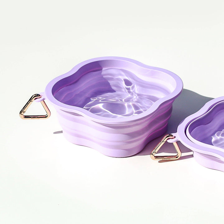 Collapsible Water Bowl