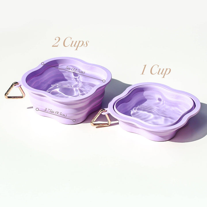 Collapsible Water Bowl