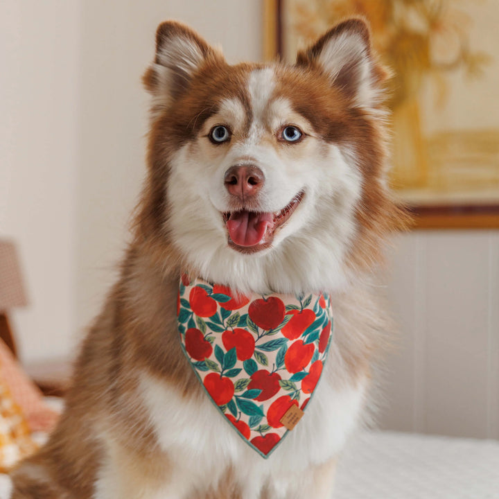 Apple of My Eye Bandana