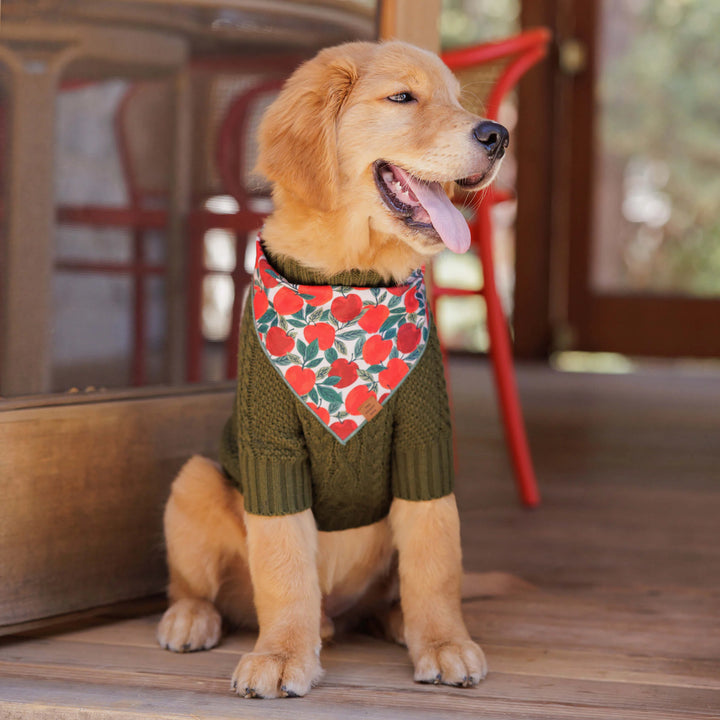 Apple of My Eye Bandana