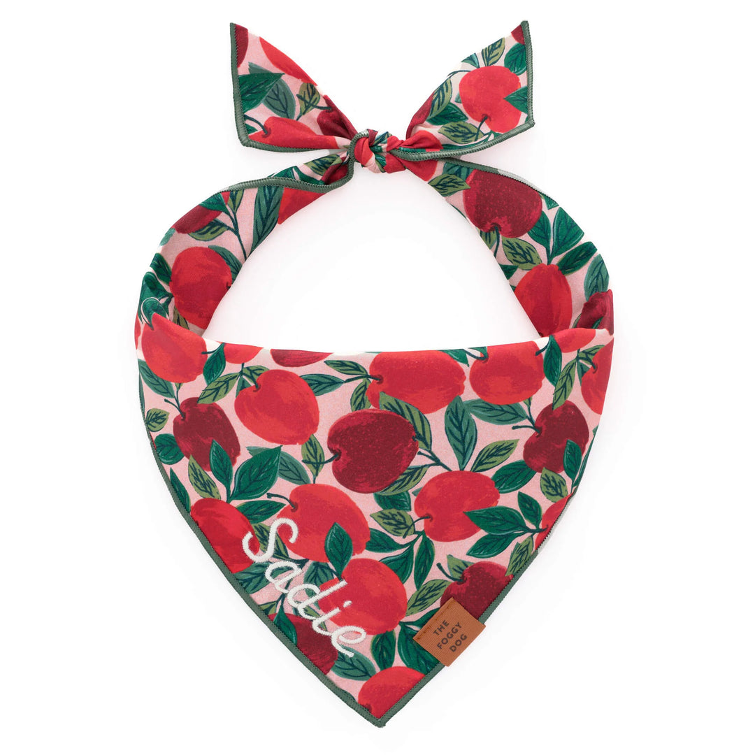 Apple of My Eye Bandana