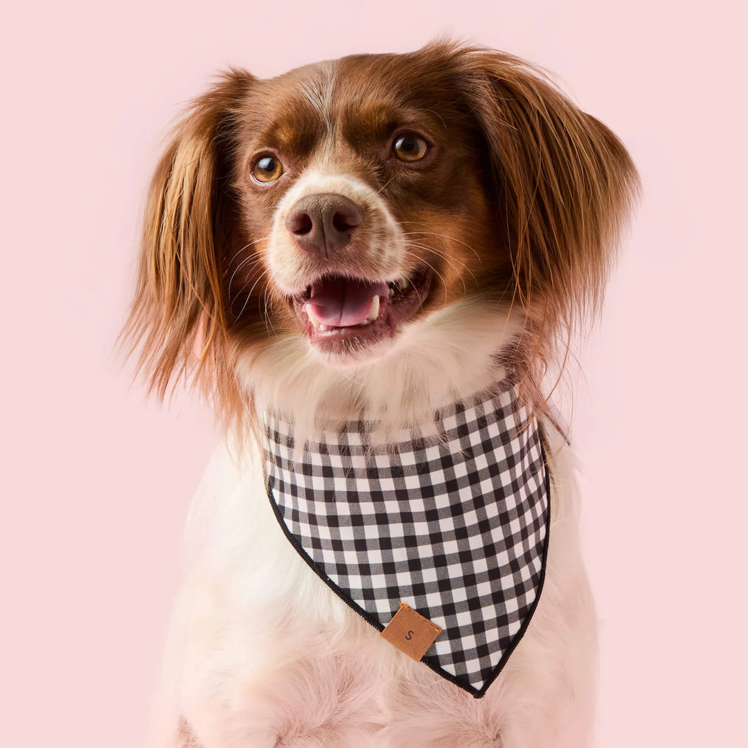 Spooky Season Glow-in-the-Dark Reversible Dog Bandana