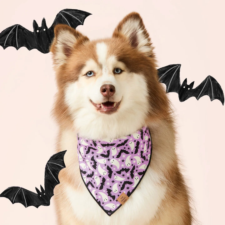 Spooky Season Glow-in-the-Dark Reversible Dog Bandana