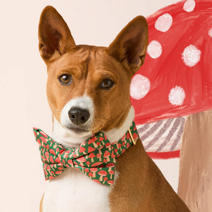 Mushroom Meadow Dog Bow Tie