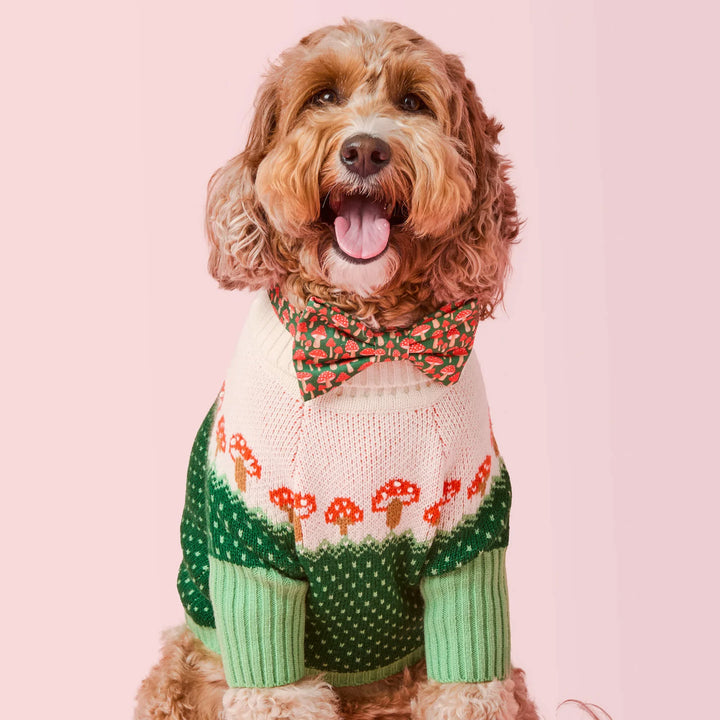 Mushroom Meadow Dog Bow Tie