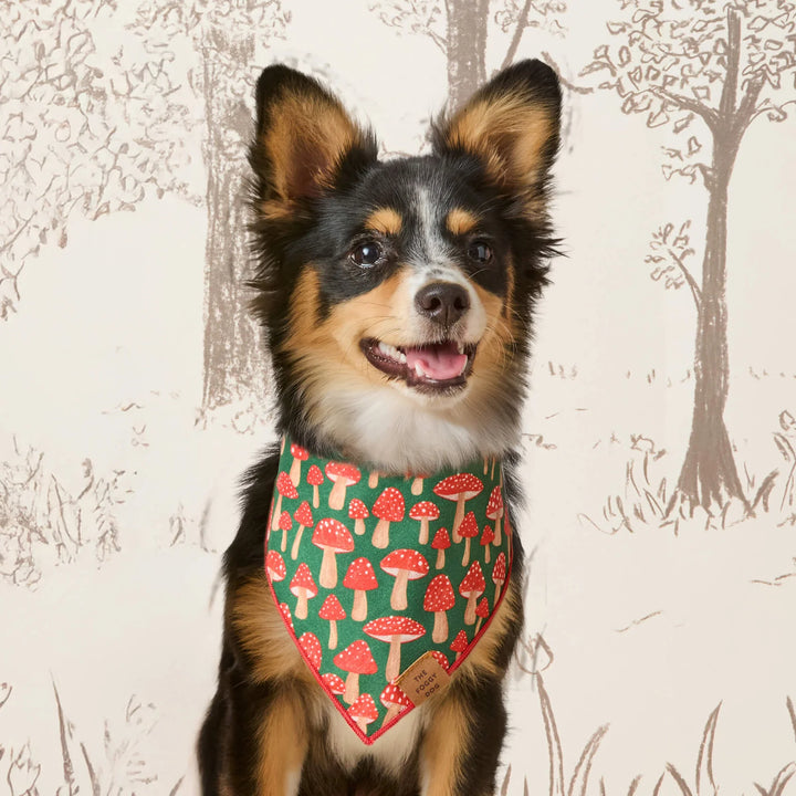 Mushroom Meadow Bandana