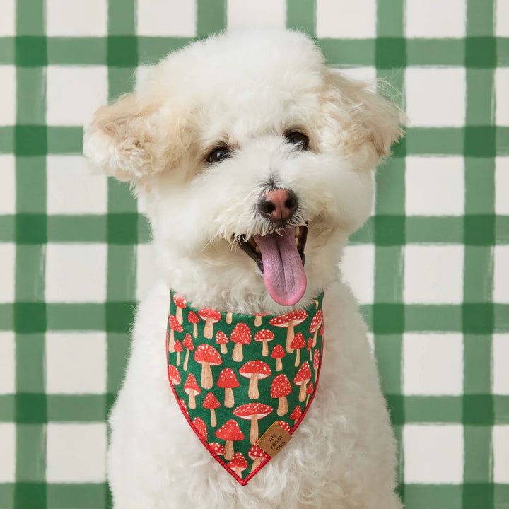 Mushroom Meadow Bandana