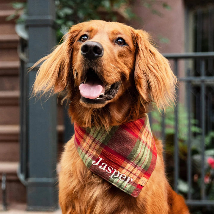 Orchard Plaid Flannel Dog Bandana