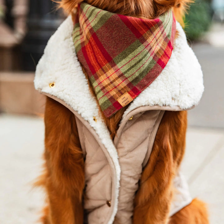 Orchard Plaid Flannel Dog Bandana